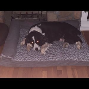 Meet your Posher, Matt